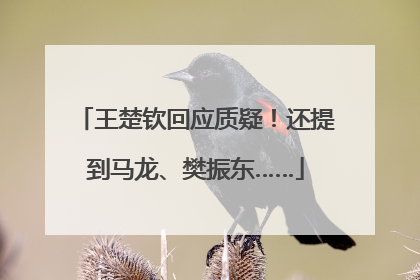 王楚钦回应质疑！还提到马龙、樊振东……